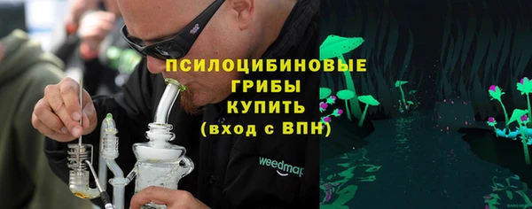 МДПВ Володарск
